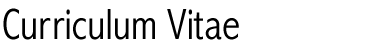 Curriculum Vitae