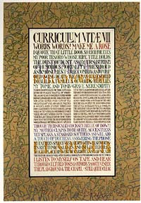 Curriculum Vitae VIII