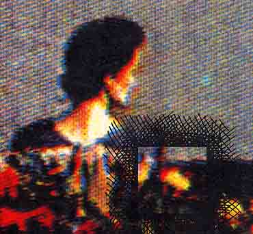 Detail of Benches, reproduced