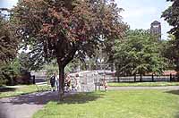 9. RUSKIN PARK: ENTRANCE. c. 2.10 pm.: 2 of 3