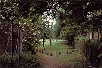 12. THE OLD TENNIS COURT. c. 3.15 pm.: 3 of 3