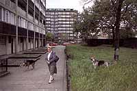 20. ENVOI.&nbsp; THE CAMBERWELL BEAUTY. c. 5.30 pm.: 2 of 3