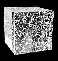 Wittgenstein's Dilemma, Inverted