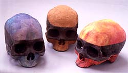 Treated Skulls : Three Skulls (The Trials of Love)