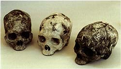 Treated Skulls : Three Skulls (Memories, Dreams, Reflections)